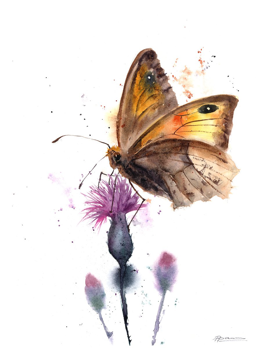 Impressionistic Animal Watercolour By Olga Tchefranov (Shefranov), 11 X 15", Butterfly On Thistle, Original Artwork
