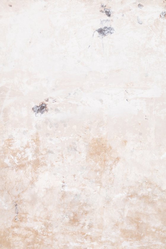 No. 25-76 (145 x 150 cm )