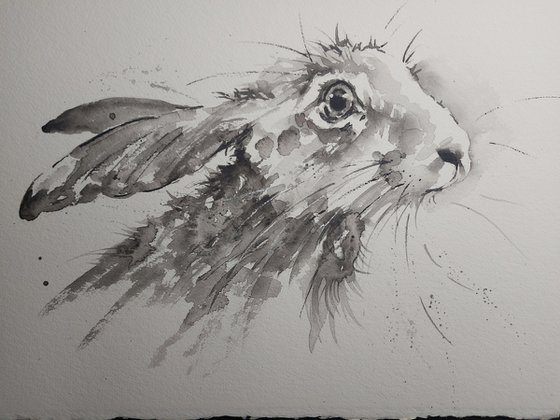 Hare portrait