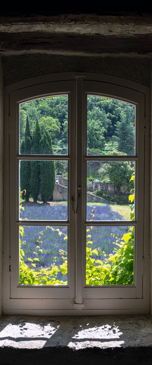 GLIMPSES OF FLOWERING by Fabio Accorrà