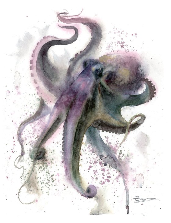 The octopus