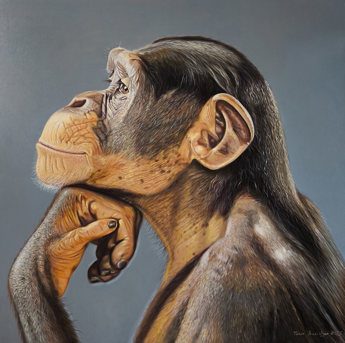 Photorealistic Animal Oil Painting By Tigran Araqelyan, 35 X 35", Lost In Thoughts, Original Artwork