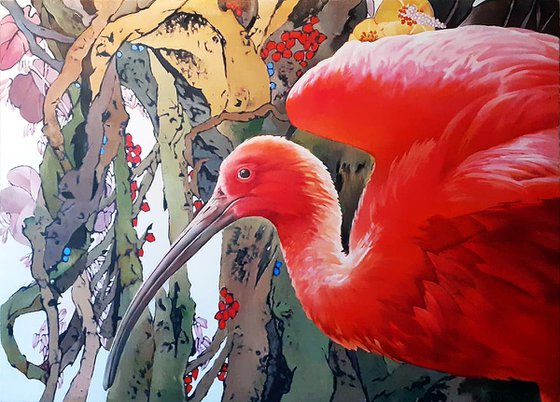 Scarlet Ibis