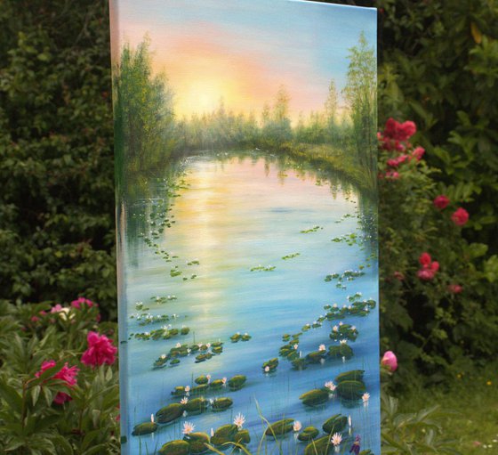 Serene lily pond