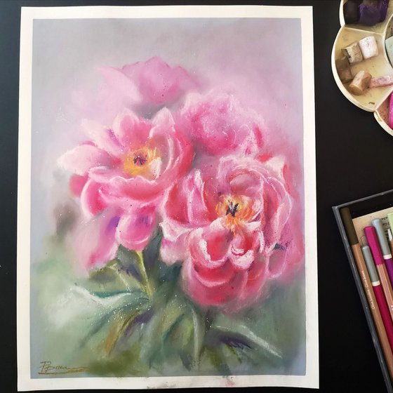 Peonies (soft pastel)