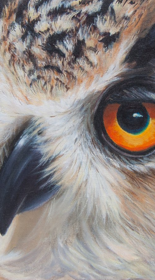 Owl 4 by Norma Beatriz Zaro