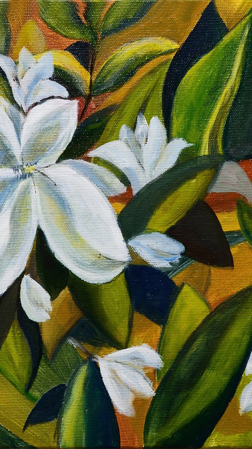 White magnolias by Aniko Hencz