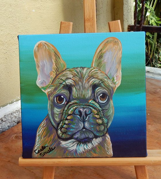 Rainbow French Bulldog Pet Dog Original Art Painting-8 x 8 Inches Deep Set Stretched Canvas-Carla Smale