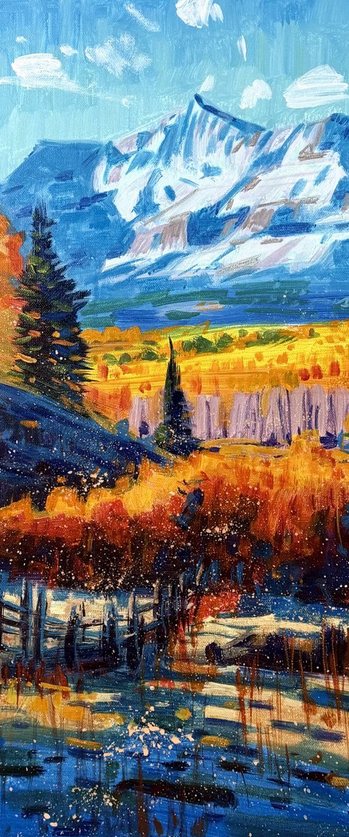 Fields of Gold by Paul Cheng