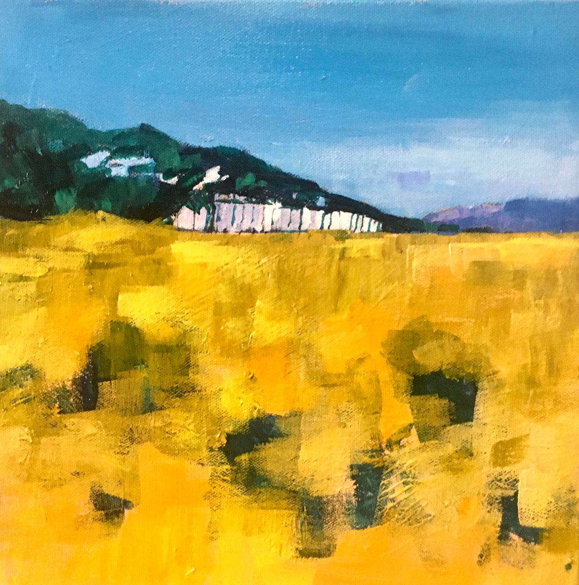 Sand Dunes At Aberdovey By Stuart Roper, 12 X 12, Artwork For Sale On Artfinder