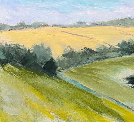 Late Summer Fields