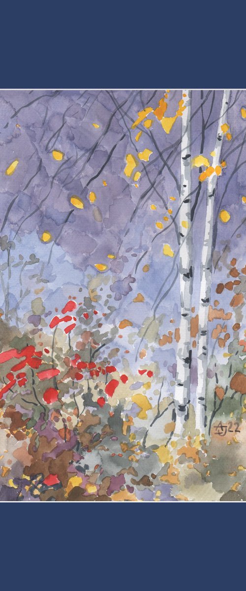 Birches by Jolanta Czarnecka
