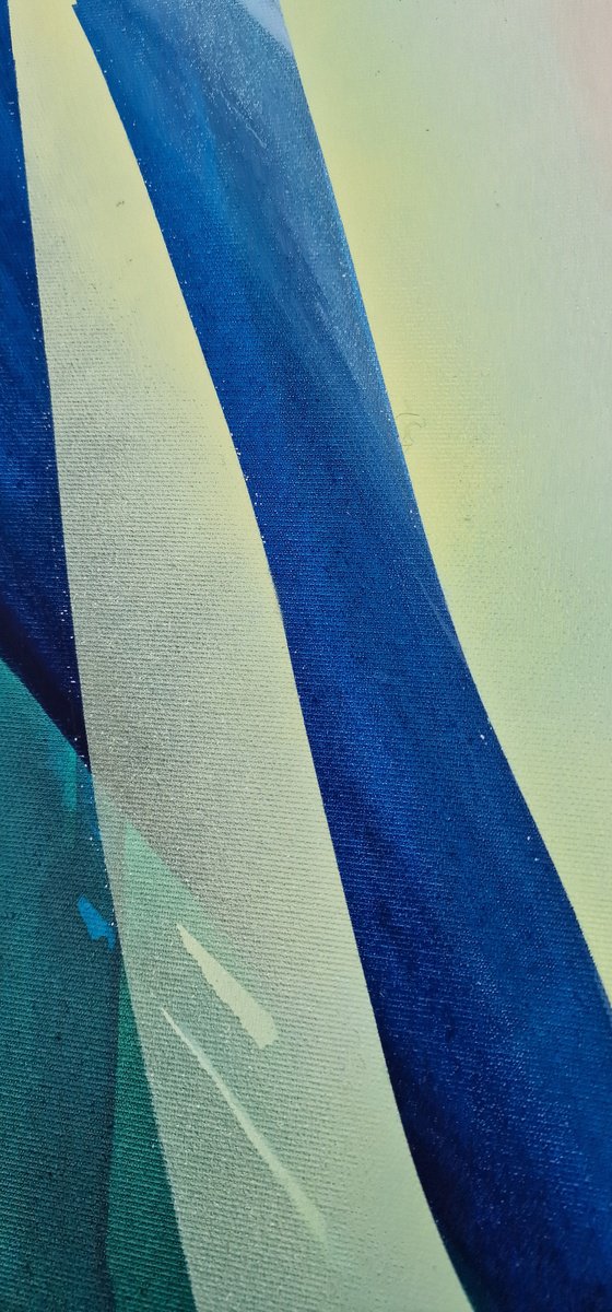 Transcended boundaries  V - Space