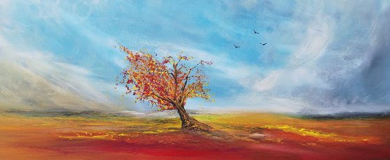 Autumnal Colours - Autumn Landscape