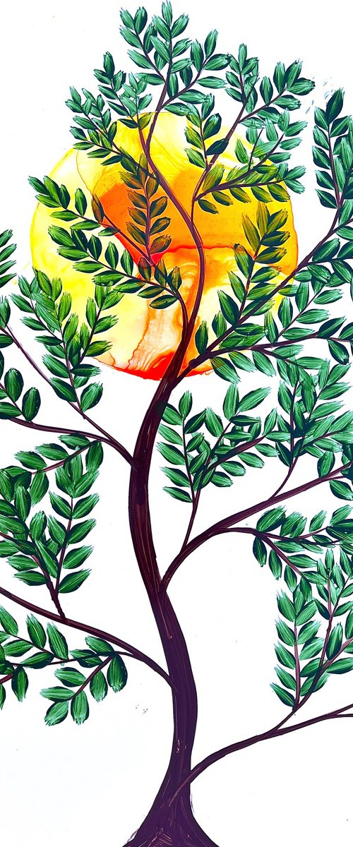 Moringa plant by Sumit Mehndiratta