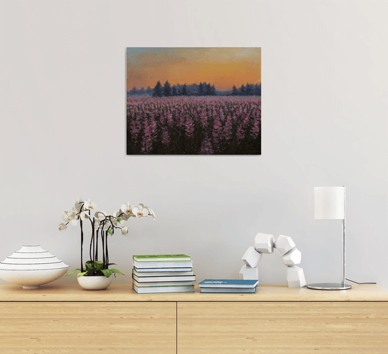 Sunset Over The Purple Flowers