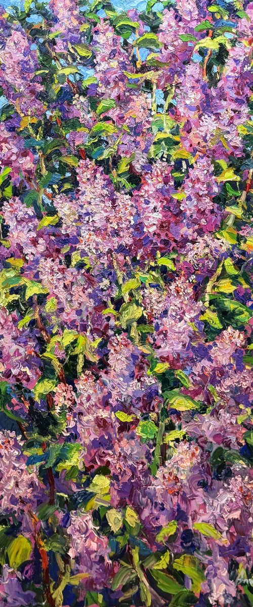 Breath of spring. by Andrii Chebotaru