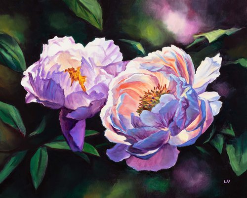 Pink and white peonies in the garden by Lucia Verdejo