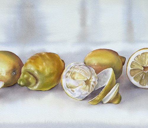 Citrus still life by Alina Karpova