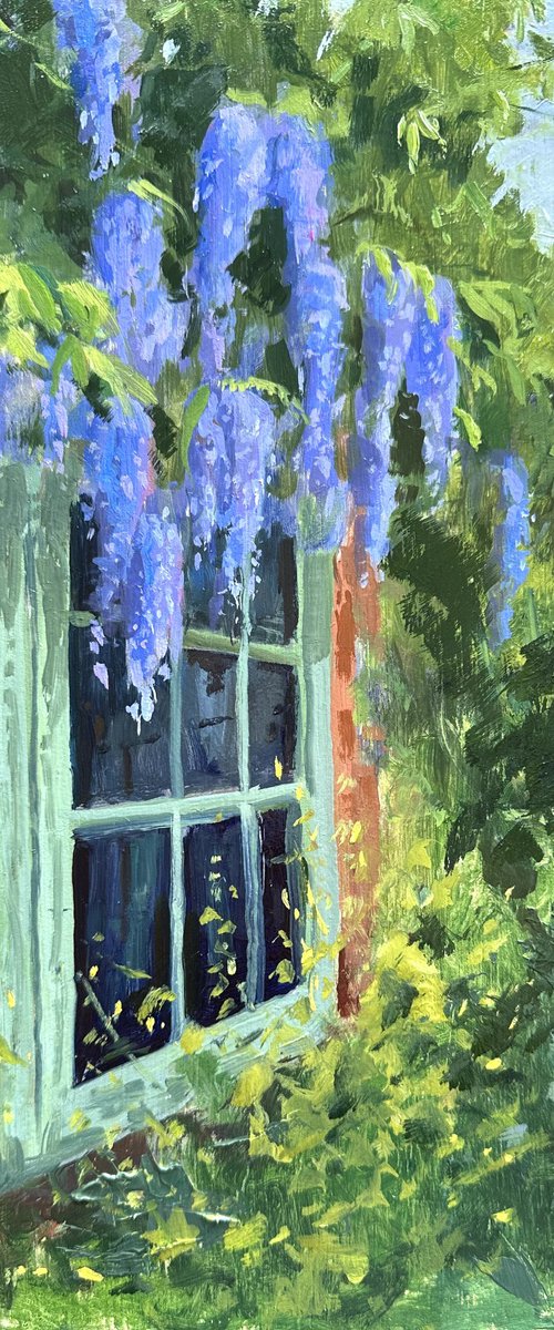Wisteria Window by Toni Swiffen