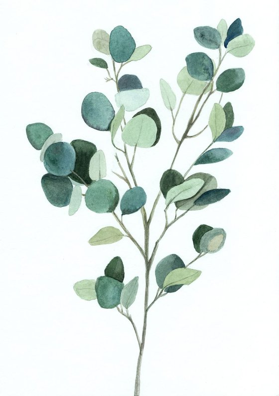 Eucalyptus love Watercolour by Mia | Artfinder