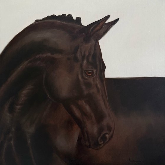 Black horse portrait