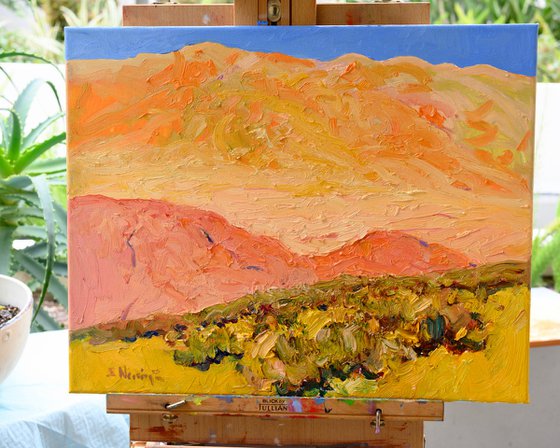 Warmth of the Desert