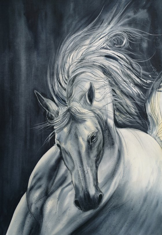 Run Like the Wind - White Horse - equine art