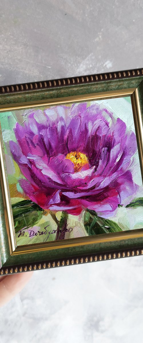 Peony by Nataly Derevyanko