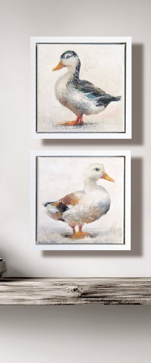 Ducks by Alena Post