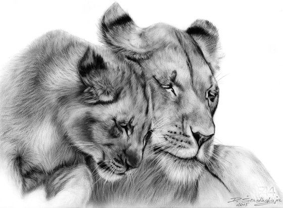 Lioness and Cub