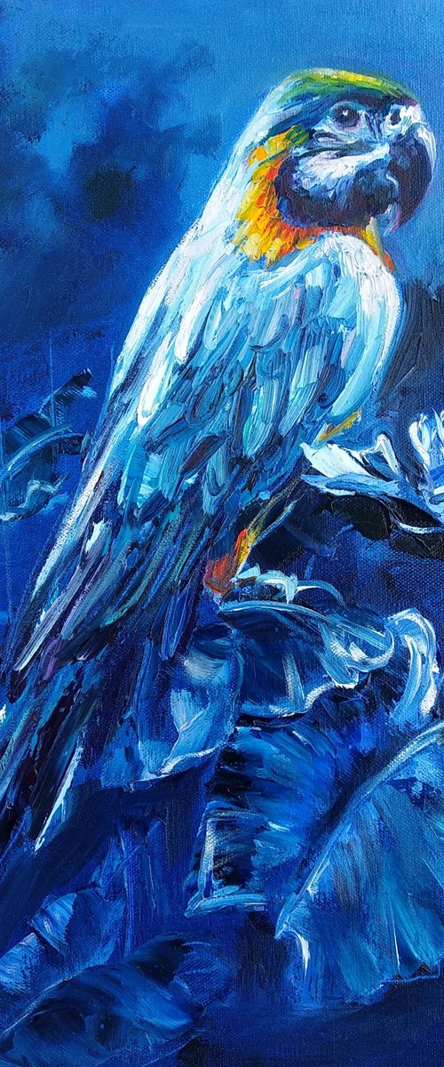 Parrot Bird Art Nature Blue painting Night time Wildlife by Anastasia Art Line