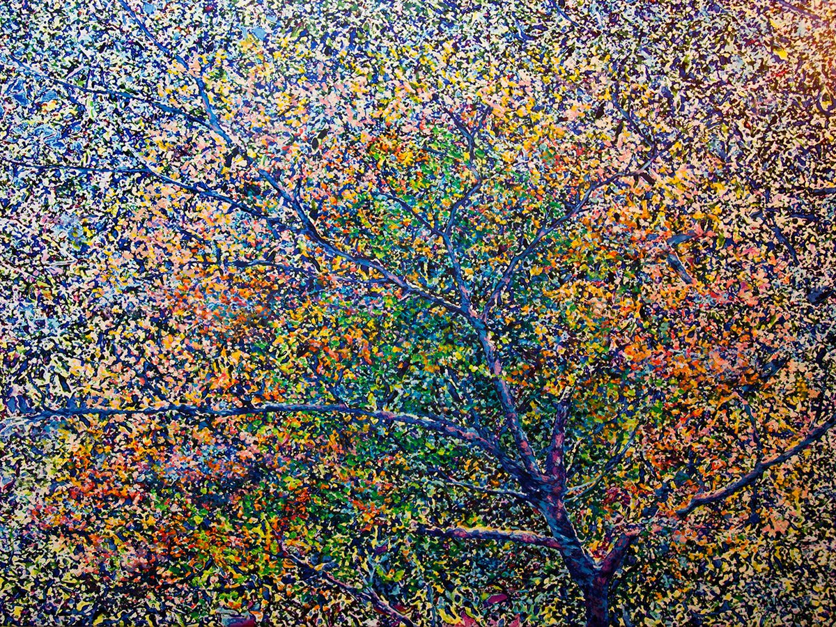 Colourful Canopy Number 1 by Ken Skehan