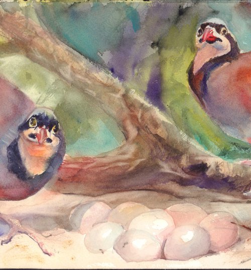 Mountain quail family by Irina Bibik-Chkolian