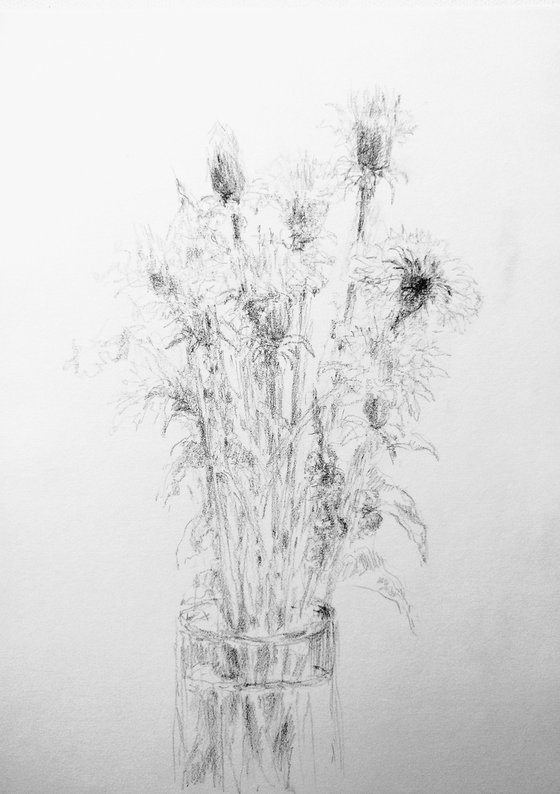 Dandelions. Original pencil drawing.