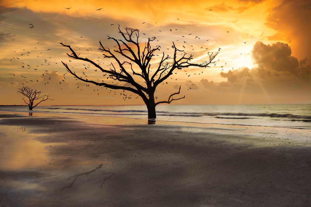 LOW COUNTRY JEWEL...Limited Edition Photo Made in South Carolina by Harv Greenberg