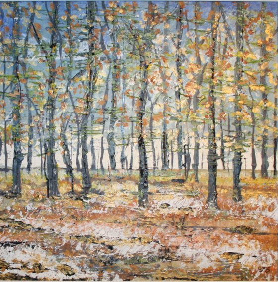 Micheldever Woods in Winter I