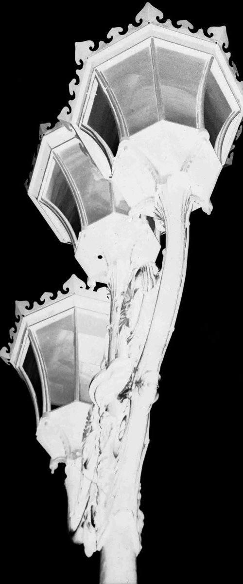 VICTORIAN STREETLAMP NEGATIVE 1/200 by Laura Fitzpatrick