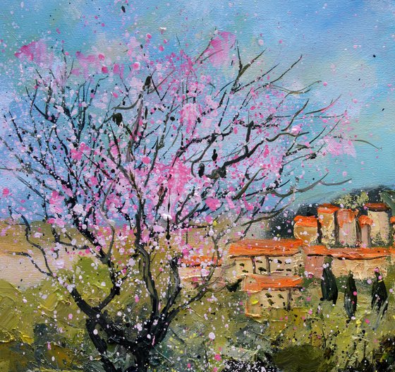 Spring  in Provence 5423