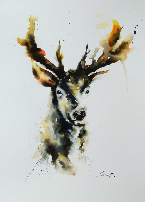Stag.
