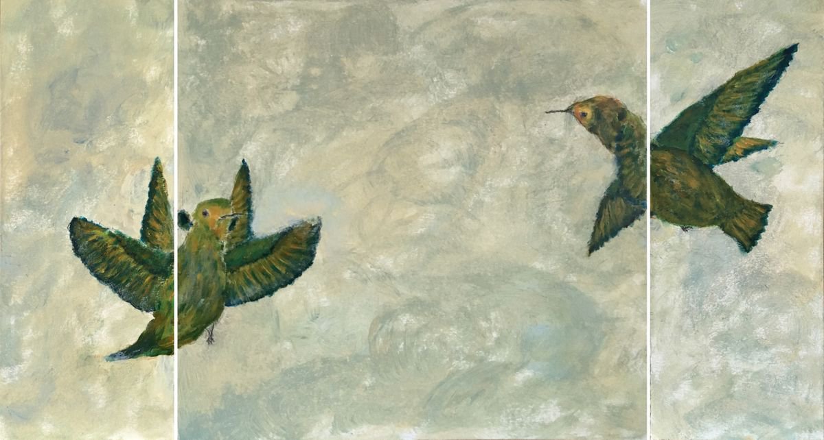 Study of hummingbird V a+b+c by Paola Consonni