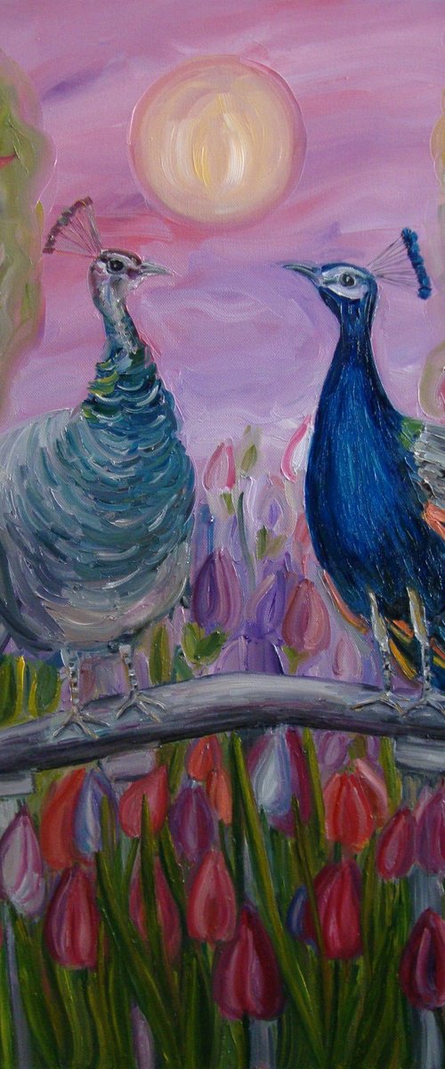 Peacocks love by Olga Knezevic