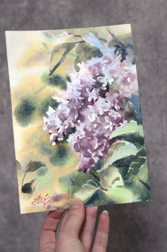 Spring blossom of lilac tree