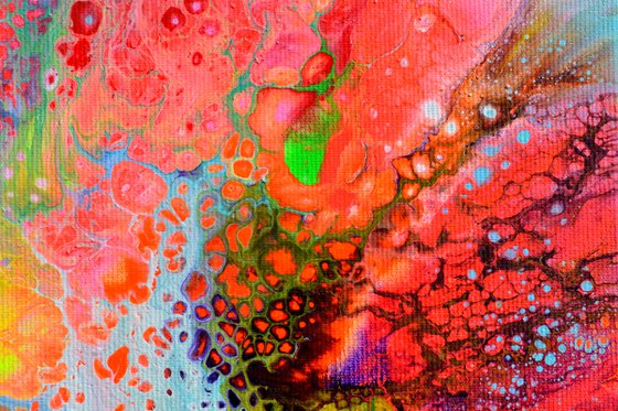 The Voice of a Dream 6