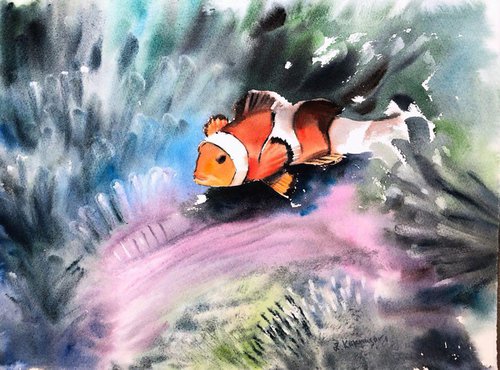 Clown Fish by Irina Kukrusova