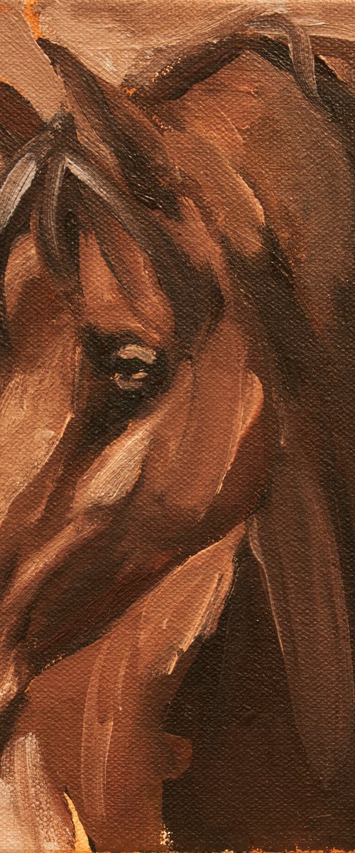 Equine Head Arab Chestnut (study 14) by Zil Hoque