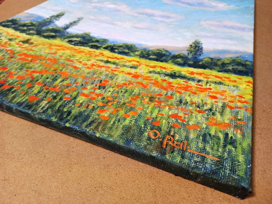 Poppy field