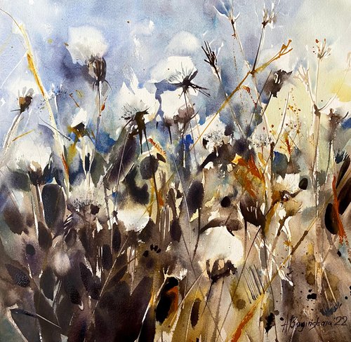 Cottony herbs by Anna Boginskaia
