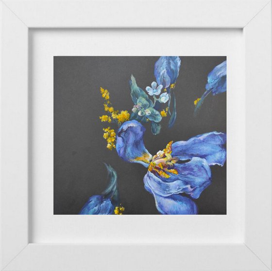 Blue tulips and yellow mimosa on women's day on black paper