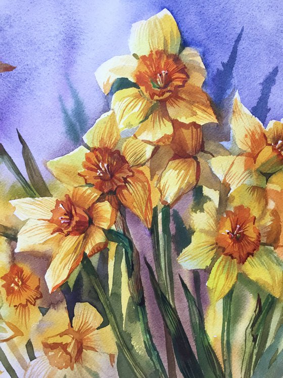 Bouquet of daffodils. Spring flowers. Botanical painting.